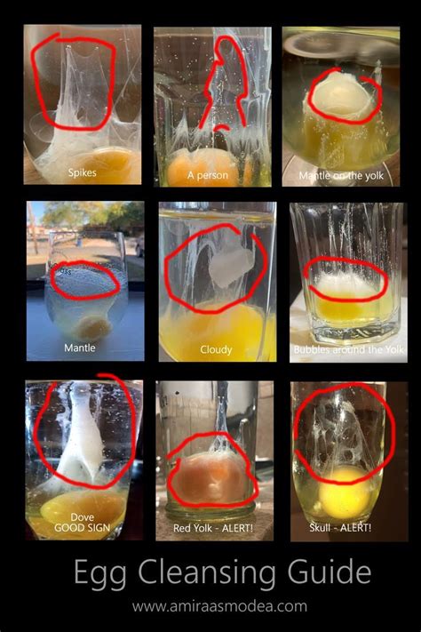 3) Rice Water (Leave the rice in water for a few hours and use the water) 4) Milk (just add a small amount) 5) One <strong>Egg</strong> White (Only the white part) 6. . Egg cleanse witch